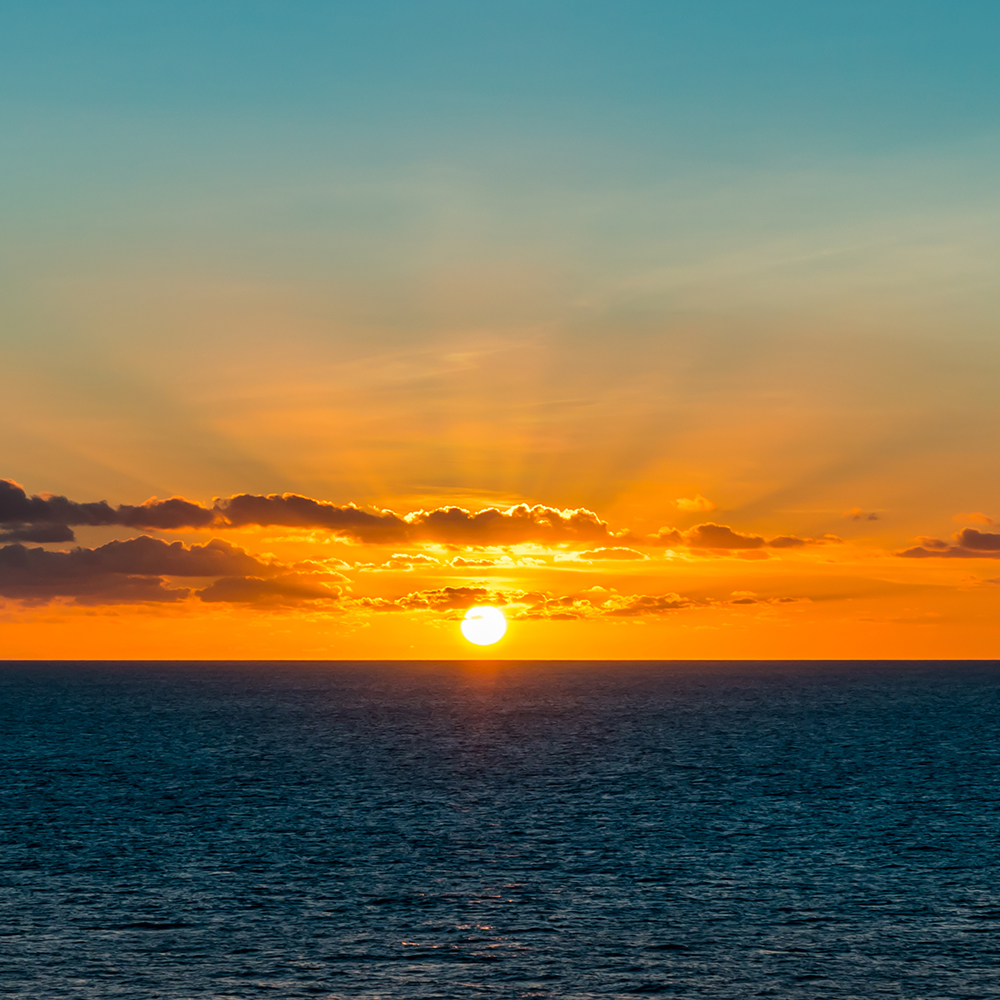 Hewlett Dental Excellence | Periodontal Treatment, Emergency Treatment and Oral Exams